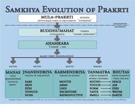 Samkhya Cosmogeny in Asana | Yoga sutras, Yoga philosophy, Asana