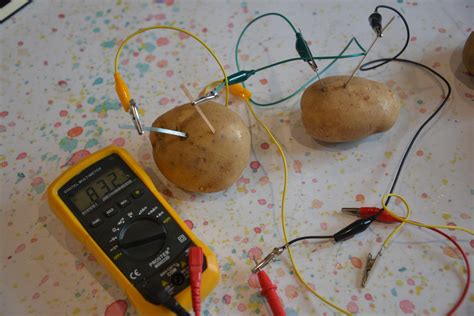 Potato Light Bulb Science Fair Project | Shelly Lighting