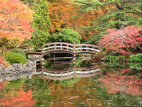 My Garden: Hatley Castle and garden dressed for Autumn