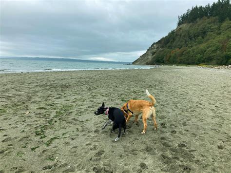 The Best Whidbey Island Hikes – Top Left Adventures