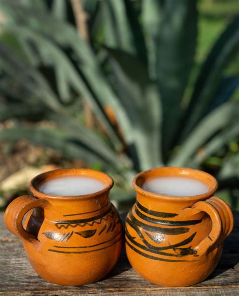 Pulque | MoreBeer