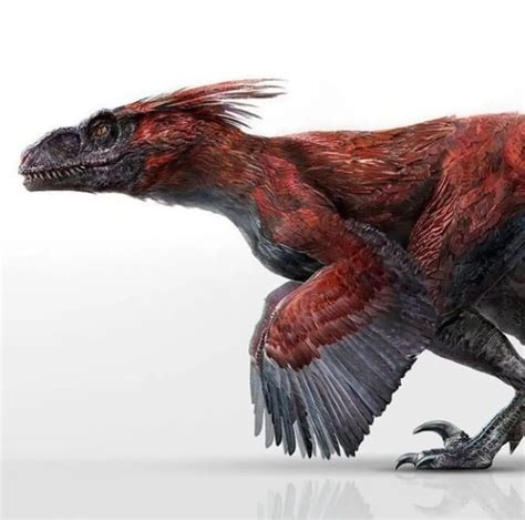 Jurassic Fan on Instagram: “What do you think about Pyroraptor design ...