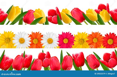 Spring Flower Borders. Vector. Stock Vector - Illustration of decor ...