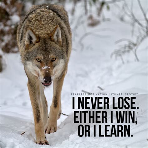 Wolf Quotes