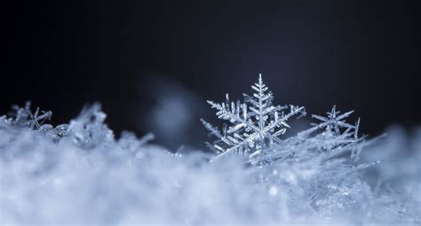 Real Snowflakes Wallpaper