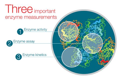 Enzyme Assay Analysis – What Are My Method Choices?