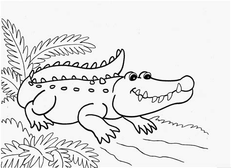 Crocodiles Colour Drawing HD Wallpaper | Animal coloring pages ...