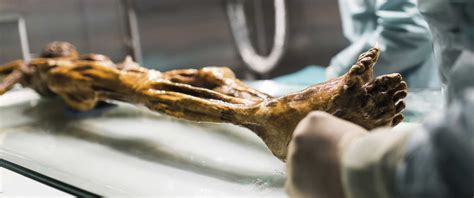 Ötzi - The mummy in the South Tyrol Museum of Archaeology