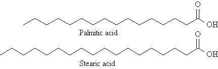 Palmitic Acid; Hexadecanoic Acid