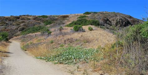 9 Best Hiking Trails In Laguna Beach - HikingInk