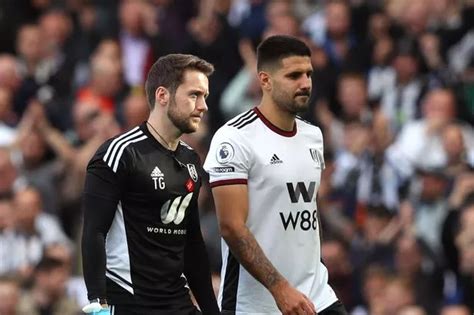 Aleksandar Mitrovic makes 'painful' admission heading into crucial ...