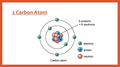 Carbon Atom Diagram Labeled