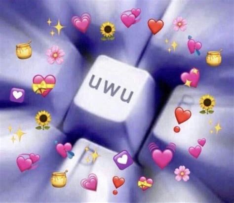 uwu meme | Cute love memes, Love memes, Cute memes