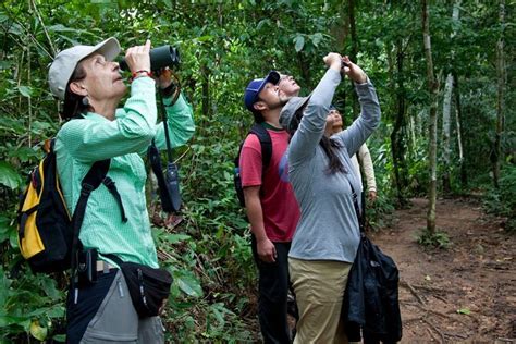 Manu Amazon Rainforest Tours 4 Days in Peru 2024 - Cusco