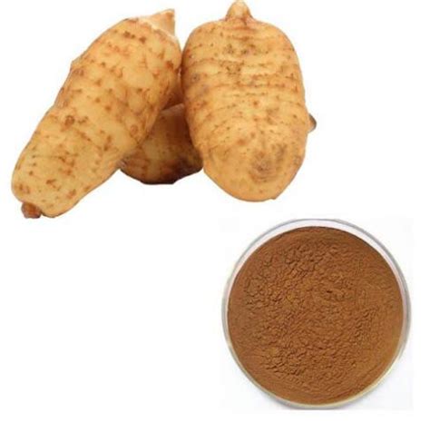 Gastrodia Elata Extract - manufacturer - undersun