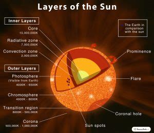 Layers of the Sun: Structure & Composition with Diagram