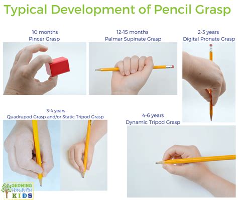 Typical Pencil Grasp Development for Kids