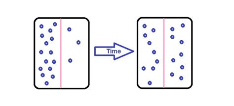 Diffusion - Definition, Examples and Types | Biology Dictionary