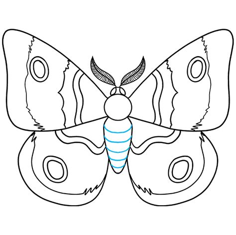 How to Draw a Moth - Really Easy Drawing Tutorial