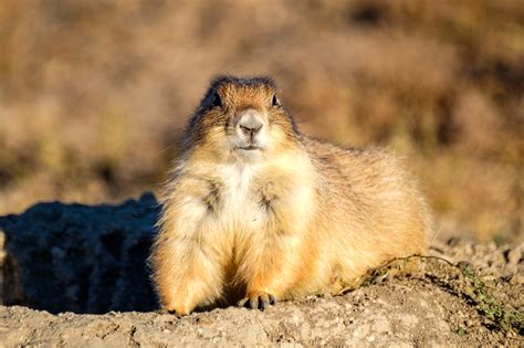 Badlands National Park — The Greatest American Road Trip