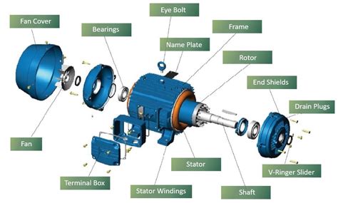 How does an AC Motor Work? | Its Purpose