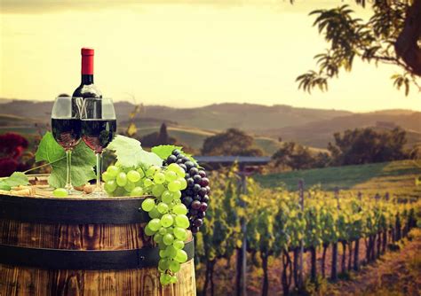 The Best Winery Tours in Nashville | Wine Tasting