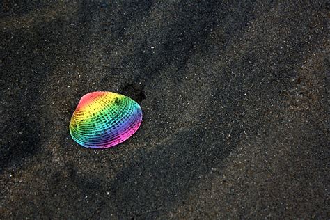 Rainbow Shell by Reitanna-Seishin on DeviantArt