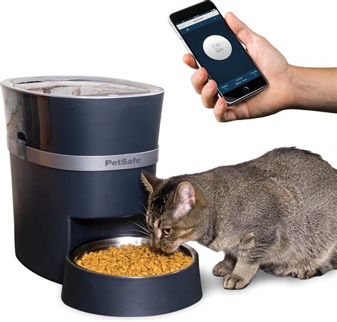 Best automatic feeder for cat: 12 products reviewed