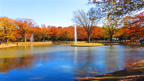 The Ins and Outs of Yoyogi Park | Guides, Day Trips from Tokyo