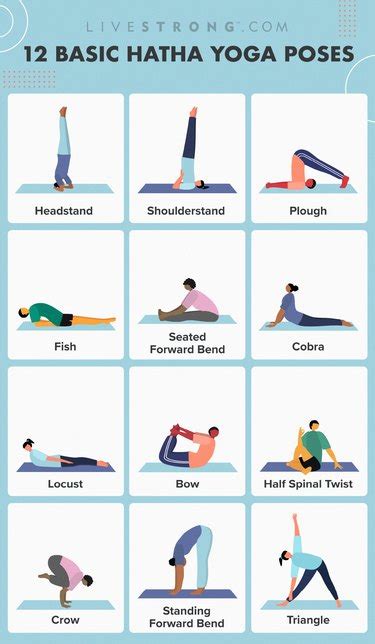 The 12 Basic Hatha Yoga Poses and How to Do Them With Perfect Form ...