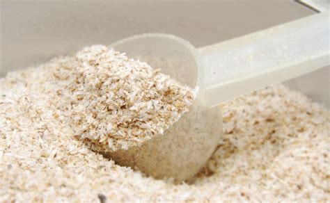 Psyllium Husk Powder: Benefits, Side Effects, Dosage