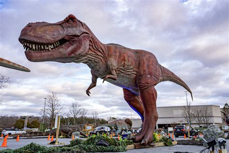 Dino Safari - National Harbor