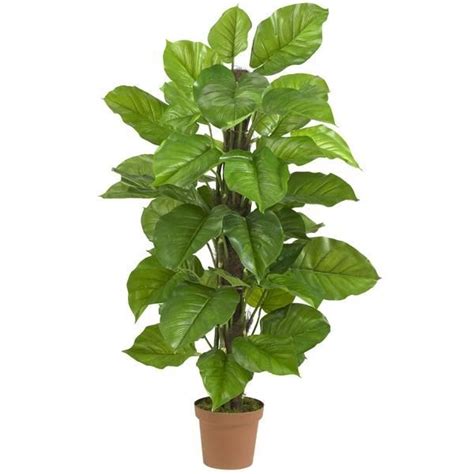 Home Bargains Artificial Plants - Plants BX