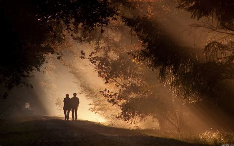 Forest shadows trees sunlight couple love romance mood wallpaper ...