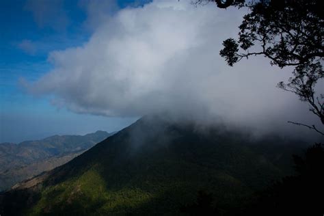 Hiking Blue Mountain Peak in Jamaica 2024-2025 - Rove.me