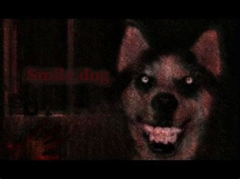 Creepypasta ITA #5 Smile dog.jpg - YouTube