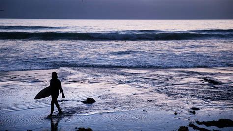 San Diego shark attack: Woman recovering from laceration wounds