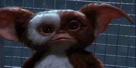 Surprised GIF - Gremlins Picture Funny - Scopri e condividi GIF