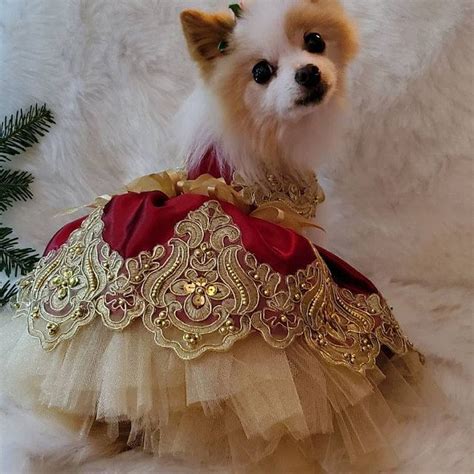 Pet Dog dress 'Christmas Princess' fancy dog dress | Etsy in 2020 ...