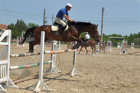 Horse jumping obstacles | nite dan | Flickr