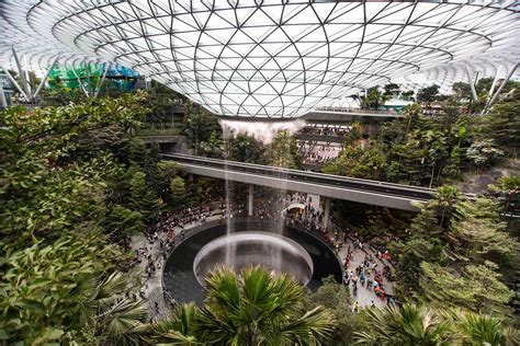 Ide 22+ Butterfly Garden Changi Airport Singapore