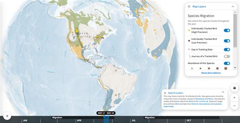 Making Sense of the Peregrine Falcon’s Variable Migration Patterns ...