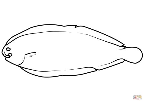 Common Sole (Solea Solea) coloring page | Free Printable Coloring Pages