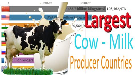 Top Largest Cow Milk Producer Countries - YouTube