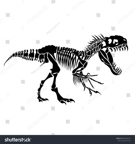 T Rex Dinosaur Skeleton Silhouette Illustration Stock Illustration ...