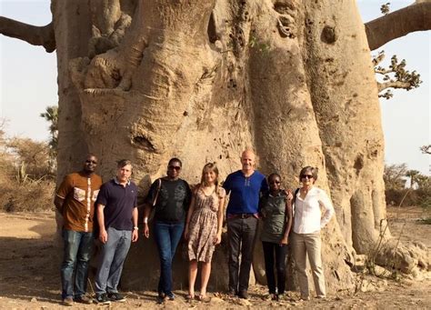 In the West African Sahel, Women Stand Like Giants - Root Capital