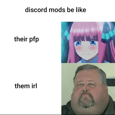 Discord Pfp Meme Anime : Anime Profile Pictures Know Your Meme