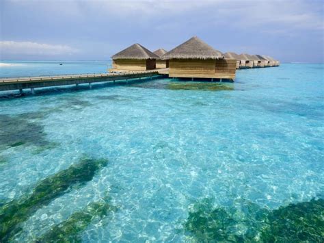 Maldives: Cocoon Maldives Resort – Travel2Unlimited