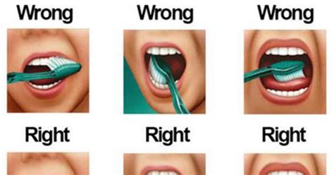 You’re Brushing Your Teeth Wrong! Here’s a Technique That’s 3X More ...