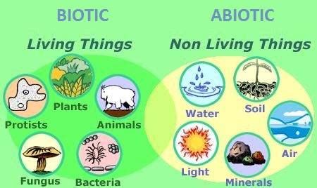 Komponen Ekosistem (Biotik dan Abiotik) Beserta Jenis dan Contohnya